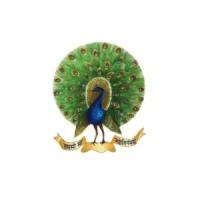 mayoor school logo